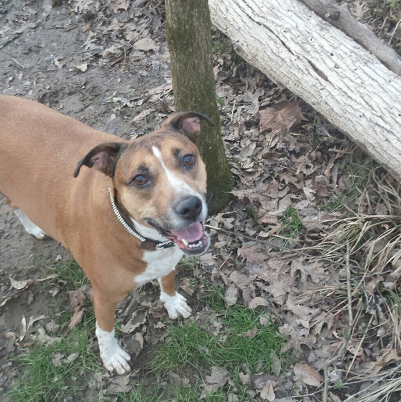 Meet your Posher, Casey - Picture 2 of 8